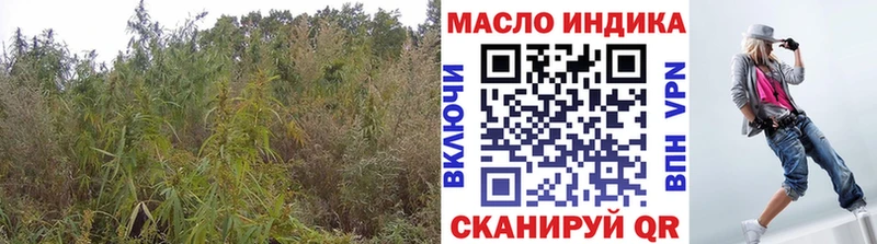 ТГК THC oil  цена наркотик  МЕГА tor  Майкоп 