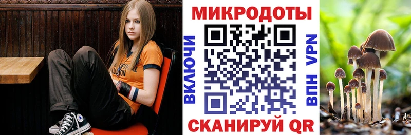 Галлюциногенные грибы Cubensis где купить наркоту Майкоп