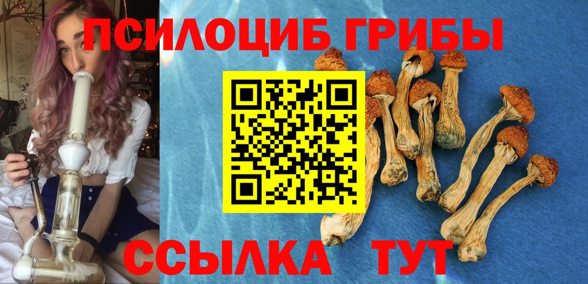Галлюциногенные грибы GOLDEN TEACHER Майкоп
