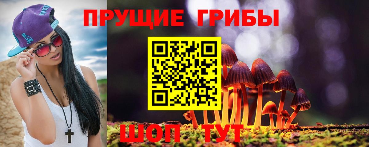 Майкоп  наркота  Вход с VPN  Псилоцибиновые грибы ЛСД  Галлюциногенные грибы MAGIC MUSHROOMS 