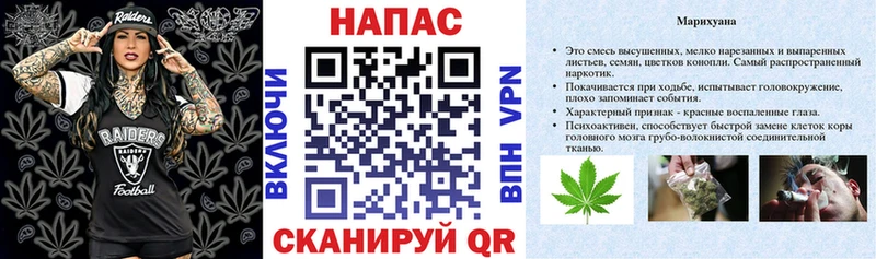 как найти   Майкоп  Бошки марихуана Bruce Banner 